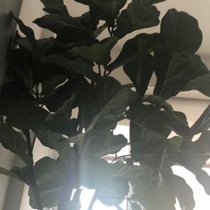 Meet your Posher, Tania